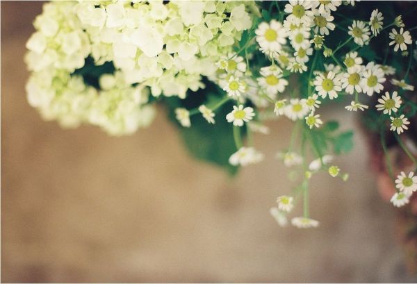 家居风水旺与衰 事关今后十五年